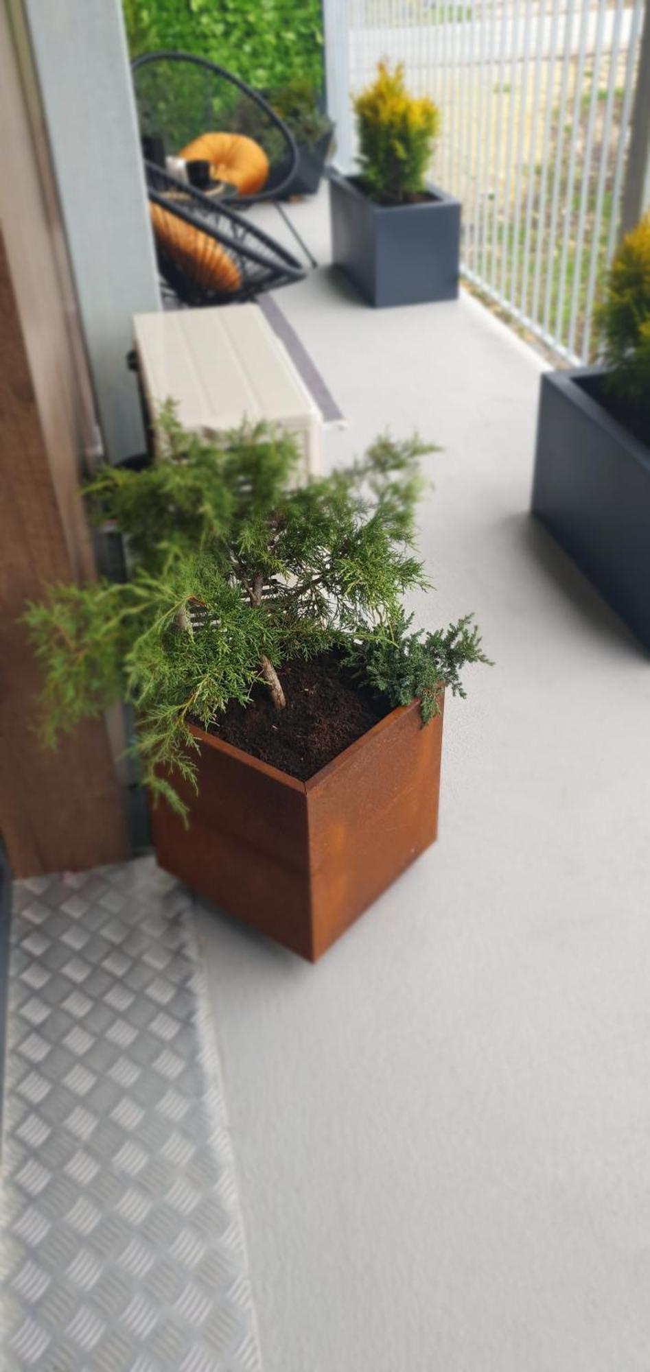 Apartamenty Studio Busko-Zdrój Buitenkant foto